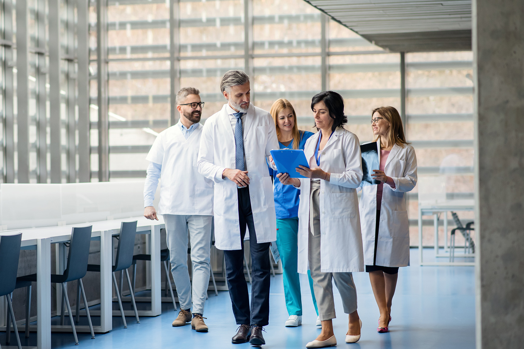 Vivamus interdum metus porttitor